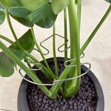 1pc Metal Turtle Shell Leaf Shaped Plant Support Rack - Durable Monster Clip, Unique Design Fit For Climbing Plants, Tortoise Shell Bamboo Clamp, Ideal Plant Support For Healthy Growth