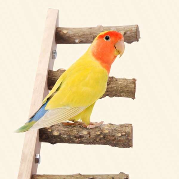 1 PIEZA Juguete de escalera interactiva de madera adecuado para mascotas pequeñas, pájaros, loros, hámsteres, perritos de tierra, escaleras de nube, juguetes de escalera de madera, columpios, cuerdas para escalar, accesorios