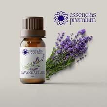 Water-Soluble Essence Kit For Humidifier Diffuser Aromatizer 15ml