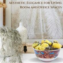 Local Shipping--  Healing Crystals, Stones, Healing Stones, Rock Collection, Agate, Raw Stones ,Crystals, Rocks, Jade, Crystals And Healing Stones(Labradorite, 2 Pcs) - Người theo thuyết Bảy Mươi - Xem 8