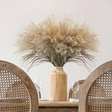 20/30 piezas Ramo de Hierba de las Pampas Seca, Flores Blancas, Ramo de Estilo Bohemio para Decoración del Hogar, Flores Secas de Junco, Decoración de Habitación, Decoración del Hogar, Decoración de Dormitorio, Decoración de Boda, Suministros de Boda, Decoración de Oficina, Decoración de Cafetería, Regalo del Día de San Valentín | Halloween, Navidad, Decoraciones Navideñas, Decoración de Habitación, Decoración de Dormitorio, Regalo