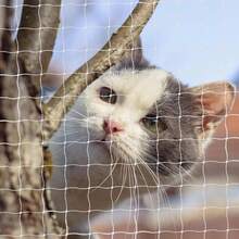 Pet Balcony Window Net, Cat Fence Net, Transparent Nylon Net Pet Fence Net, Suitable For Balcony, Window, Stairs