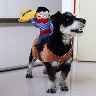 1 件有趣的万圣节宠物骑马服装