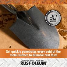 Disolvente de óxido Rust-Oleum en spray con gatillo en gel | Removedor de corrosión de uso intensivo para herramientas metálicas, autos, bicicletas, parrillas, pernos, armas de fuego y talla grande | 32 Onzas - 32 onzas líquidas (paquete de 1) - Ver 3