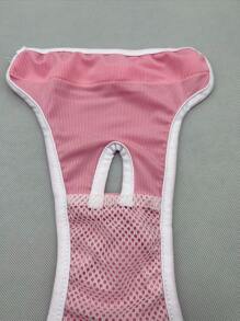 Sous-vêtements pour chien avec broderie, kit de 10 pièces de couches jetables physiologiques pour la période menstruelle de l'animal de compagnie