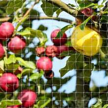 Pet Balcony Window Net, Cat Fence Net, Transparent Nylon Net Pet Fence Net, Suitable For Balcony, Window, Stairs