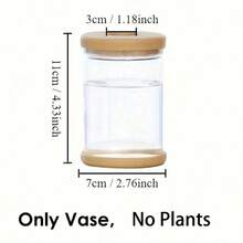 Bình thủy canh hiện đại cho cây xanh - Hình trụ nhựa trong suốt, Chậu hoa trang trí cho bàn làm việc tại nhà & văn phòng - Trong sáng - Xem 3