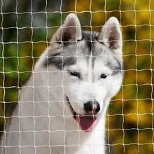 Pet Balcony Window Net, Cat Fence Net, Transparent Nylon Net Pet Fence Net, Suitable For Balcony, Window, Stairs