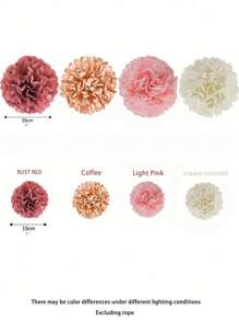 24 pièces - Kit de pompons en papier-mouchoir, décorations de fleurs en papier de soie pour mariage, anniversaire, douche nuptiale (multicolore)