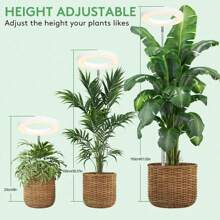 1pc Angel Ring Full Spectrum Plant Growth Lamp With Floor Stand, USB Timing Dimming, 10-Level Cycle Dimming , For Succulent Bonsai Plant Light Supplement, Indoor Seedling Lamp, Vegetable Greenhouse And Hydroponic Lamp