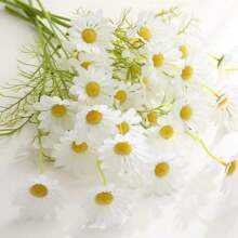 6Pcs Artificial Chamomile Flowers (Yellow)- Realistic European Daisy Fake Flowers For Home Decor, Spring Summer Table Centerpiece, Wedding, Party, Office Desk Decorations,Garden Decor,Outdoor Plant,Gardening,Pink Fake Flowers