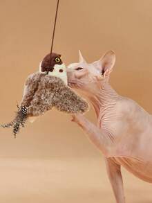 PETSIN 宠物追逐玩具，带自动摇动和翅膀拍打功能的电动鸣叫鸟玩具，猫玩具，宠物用品，小猫产品 - 不可飞行 - 彩色 - 查看 4