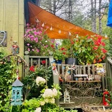 Zewnętrzny trójkątny żagiel przeciwsłoneczny, zewnętrzny żagiel przeciwsłoneczny na balkon, 3/4-metrowy składany srebrzysty żagiel przeciwsłoneczny, odpowiedni na taras/dziedziniec/taras/ogród/aktywności na świeżym powietrzu, trójkątny wodoodporny żagiel przeciwsłoneczny, zewnętrzna osłona przeciwsłoneczna na balkon, szopa przeciwsłoneczna, szopa przeciwdeszczowa, odpowiednia na taras/podwórko/taras/ogród, niezbędne akcesoria plażowe, pływak do basenu