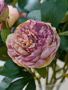 1 Pc High Quality Charred Edge 2-Head Peony & Paeony Artificial Flowers, Retro Home Decor Fake Flower Bouquet - Multicolor - View 5