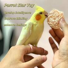 5pcs Parrot Chew Natural Wooden Rattan Ball Intelligence Development Interactive Toys, Assorted Color - Multicolor - View 5