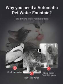 新款宠物饮水机，智能小型犬猫饮水器，循环新鲜水，底部静音，适配器和 USB 供电，用完自动断电，猫咪必备，狗狗必备 - 彩色 - 查看 4