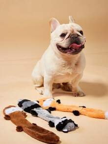 PETSIN 1 件宠物毛绒吱吱玩具，浣熊和松鼠形状咀嚼玩具，耐用的狗/猫出牙和咬玩具，适合自玩和训练