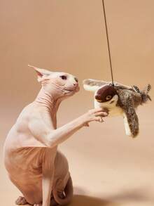 PETSIN 宠物追逐玩具，带自动摇动和翅膀拍打功能的电动鸣叫鸟玩具，猫玩具，宠物用品，小猫产品 - 不可飞行 - 彩色 - 查看 5