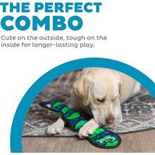 Durablez By Outward Hound: Large Green Gecko Tough Plush Dog Toy, Stuffing-Free Squeaky Interactive