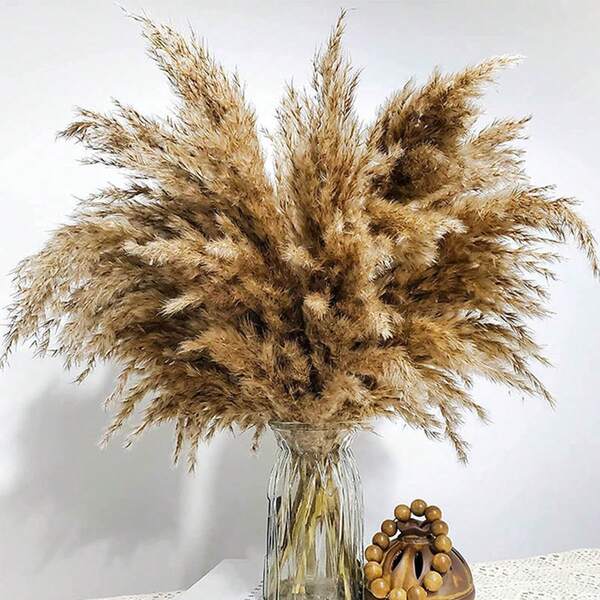 Reed Grass Dried Flowers Feather Bouquet Home Decor For Vase