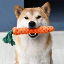 1pc Pet Toys Non-Bite Toy Ball Plush Dog Toy Self-Entertainment Teeth Grinding Puppy Cross-Border Dog Toy