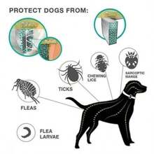 Tick & Flea Collar For Cats Anti-Flea, Tick, & Mosquito Collar (Advanced Protection)