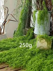 50/100/200g 人造苔藓藤蔓，可扩展且用途广泛，适用于花园装饰、景观美化和室内/室外使用，DIY 仿真苔藓草微景观布局，绿色植物草坪盆栽窗饰景观设计人造苔藓 - 彩色 - 查看 22