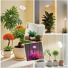 1pc Angel Ring Full Spectrum Plant Growth Lamp With Floor Stand, USB Timing Dimming, 10-Level Cycle Dimming , For Succulent Bonsai Plant Light Supplement, Indoor Seedling Lamp, Vegetable Greenhouse And Hydroponic Lamp