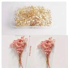 Set da 75 pezzi Gypsophila (5 mazzi, 15 cm) di colore rosa sempre verde, adatto per composizioni in vaso, foto, matrimonio, Natale, San Valentino, DIY, scatole regalo, decorazione di cartoline, spille, collane, candele, festa di nascità, decorazione in stile rustico, steli pieghevoli