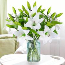 5 Stücke realistische weiße künstliche Lilien Blumen mit grünen Stielen, hohe Fidelität der Erscheinung, nicht verblassend, Frühlings- und Sommer-Blumendekoration, geeignet für Innen- und Außengarten, Hof, Party, Hochzeit, Wohnzimmer, Schlafzimmer, Festival, Geschenk, Heimdekoration, Fotografie-Requisiten