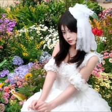 1 Stück schwarzer Spitzen-Schleier mit Schleife Dekor Minihut, Lolita-Stil Kopfschmuck; 1 Stück Gothic-Stil Halloween Hut; 1 Stück Kopfband mit Blumennetz; 1 Stück Party Verkleidungshut Kopfschmuck