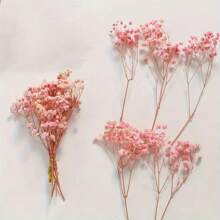 Set da 75 pezzi Gypsophila (5 mazzi, 15 cm) di colore rosa sempre verde, adatto per composizioni in vaso, foto, matrimonio, Natale, San Valentino, DIY, scatole regalo, decorazione di cartoline, spille, collane, candele, festa di nascità, decorazione in stile rustico, steli pieghevoli