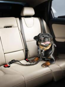 1pc Pet Car Restraint, Dog Leash, Cat Car Leash, Retractable Shock-Absorbing Reflective Strap Tether Leash, Forr Pet Travel!