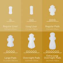 RPE Life Regular Liners - 100% Organic Cotton, Daily Comfort, And Light Protection - 15cm - View 7