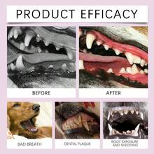 3 Bottles Pet Tooth Spray, Oral Care Spray For Dogs And Cats, Pet Dental Care Spray, Care Cleaning Pet Oral Teeth, Removing Tooth Stains Tooth,  Freshens Breath Instantly, Dog Teeth Cleaning Spray - Pink - View 9