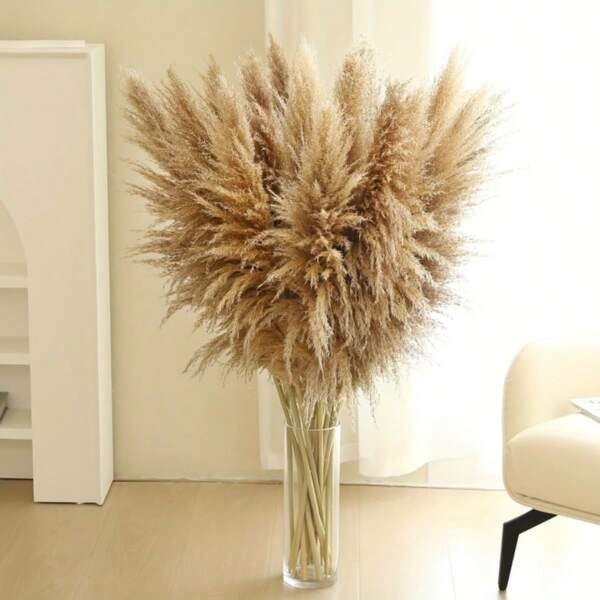 10/20 pièces Herbe de roseau de style bohème premium - 42 pouces de hauteur, convient pour les vases et la décoration d'intérieur, choix idéal pour les mariages, les fiançailles, les fêtes (Noël, Halloween, Thanksgiving)