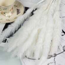 10 pezzi di Erba di pampas utilizzata per matrimoni, decorazioni per la casa, bagno, ufficio, cucina, decorazione da tavolo. Regali di compleanno, laurea, decorazioni autunnali