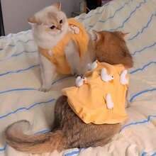 Hochwertige 3D Ente Muster Haustierkleider, leichter Sommeroutfit für Katzen & kleine Hunderassen wie Ragdoll, Chinchilla, Pudel, Teddy