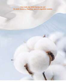 Black Cotton Short-Sleeved T-Shirt With Words "Boos Nykboos" Printed On The Left Chest - màu đen - Xem 6