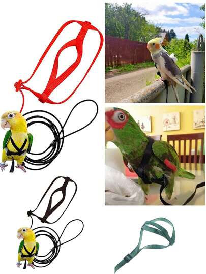 Parrot Release Rope, Pet Towing Rope, Parrot Outdoor Training Rope, Walking Harness