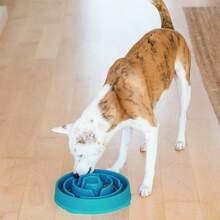Outward Hound Fun Feeder Slo Bowl, Large Slow Feeder Dog Bowl, 4 Cups, Orange