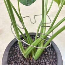 1/3/5pcs Reusable Metal Climbing Plant Stems Support Stake, Unique Design Plant Stake, Garden Decor, Flower Pot Decor, Plant Trellis, Ideal For Healthy Growth Of Indoor Plants