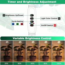 1pc Angel Ring Full Spectrum Plant Growth Lamp With Floor Stand, USB Timing Dimming, 10-Level Cycle Dimming , For Succulent Bonsai Plant Light Supplement, Indoor Seedling Lamp, Vegetable Greenhouse And Hydroponic Lamp