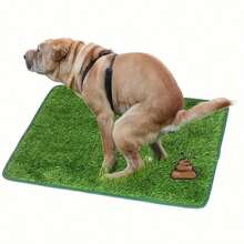 1pc Artificial Grass Dog Potty Mat, Outdoor Pet Toilet, Easy To Clean, Odor-Proof, Indoor & Outdoor Pet Training