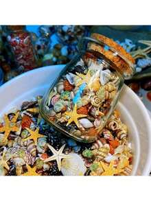 400pcs Natural Seashell Sea Snail 6 Types Tiny Sea Shells Specimen (Includes 1 Glass Jar) - Multicolor - View 5