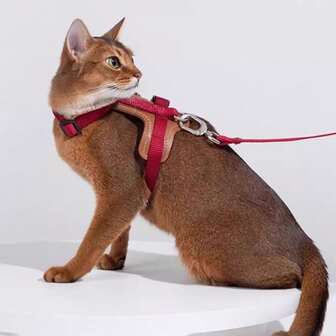 1pc Leather Cat Harness, Adjustable H-Shaped Anti-Escape, Vest-Style Cat Leash, Pet Leash, Suitable For Outdoor Walking And Training