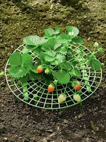 1/3/8 Sets Green Strawberry Planting Rack, Versatile Plant Support For Berries And Small Plants, Ideal For Home Gardening, Plant Support Rack, Modern Plant Stand, Durable Plastic Rack, Strawberry Planters
