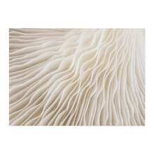 1pc Gift Modern Boho Abstract Matisse Beige White Line Wall Arts Posters Minimalist Canvas Paintings Print Picture For Living Room Interior Home Optional Frame - Multicolor - View 38