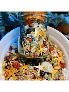 400pcs Natural Seashell Sea Snail 6 Types Tiny Sea Shells Specimen (Includes 1 Glass Jar) - Multicolor - View 3