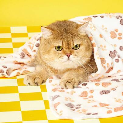 PETSIN 1pc Super Soft Plush Cat/Dog Blanket With Adorable Paw Print Patterns, Machine Washable Flannel Pet Mat In Multiple Colors And Sizes, Suitable For Small/Medium Pets